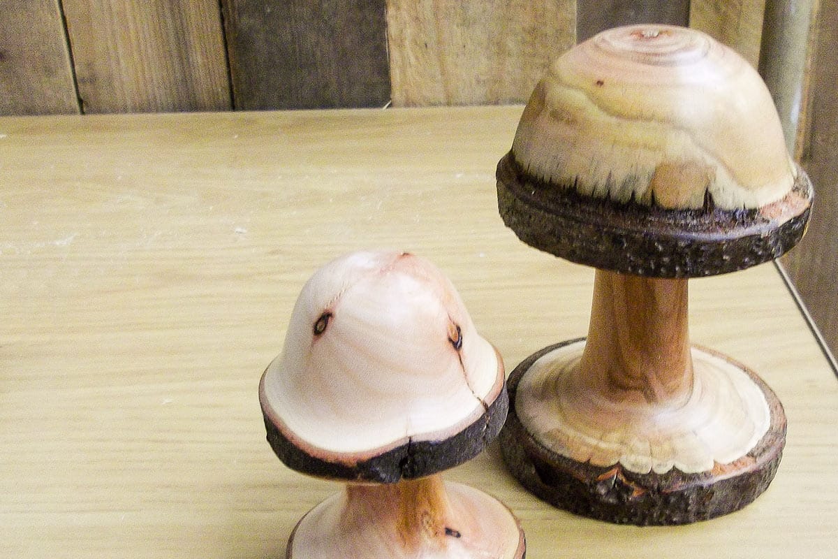 Turned mushrooms