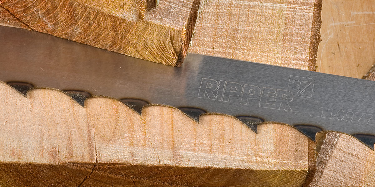 Width: 3 / 4th Inch, TPI: 14 EPS Wood cutting Narrow Bandsaw blade 2490mm